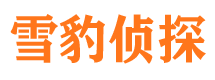 临桂市婚姻出轨调查